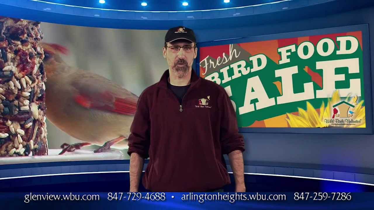 wild birds unlimited super bird seed sale winter birds in wild birds unlimited super bird seed sale winter birds in