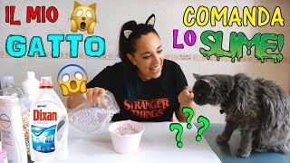 IL MIO GATTO COMANDA IL MIO SLIME! (DIFFICILISSIMO) Iolanda Sweets