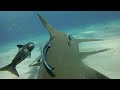 HD Video