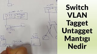Switch Vlan Tagget Untagget Mantığı Nedir