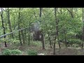 Alloy Dave's Shelbyfest Zipline - Part 12 - Dave's Canon Ball