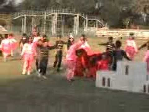 DPS ANNUAL DAY VIDEO.mp4