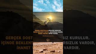 Gerçek Dostluklar Hesapsız Kurulur İçinde Beklenti Yoktur Dostluk Değerlidir