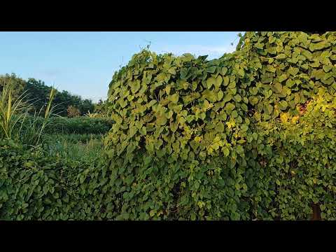 ๐บโ๏ธ " Tak ada tempat yang lebih Indah untuk berlari, selain Alam.๐บโ๏ธ๐ค ๐บโ๏ธ " Tak ada tempat yang lebih Indah untuk berlari, selain Alam.๐บโ๏ธ๐ค