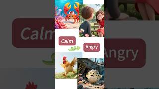 Synonyms & Antonyms Series Angry, Irate, Furious, Enraged