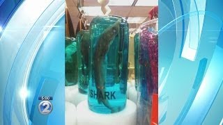 Bottled Shark Souvenirs Creating Controversy