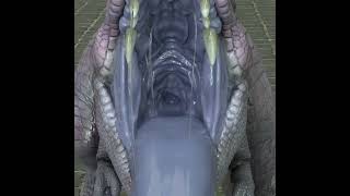 Tyranno Mawshot 1K