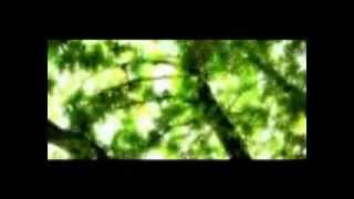 Mahrem Cynar - Tmfiles