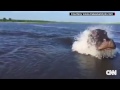 Boat tour almost devoured by hippo