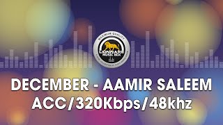 December - Aamir Saleem