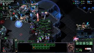 starcraft II Diamond League Zerg vs Protoss, nydus worm surprize