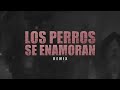 Los Perros Se Enamoran [Remix] [LIRYC + AUDIO ] - Andy Rivera Ft Nicky Jam y Varios Artistas