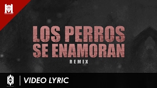 Video Los Perros Se Enamoran (Remix) Andy Rivera