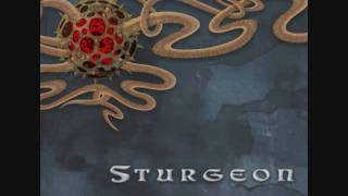 Watch Sturgeon Deadly Mantis video