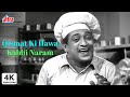 4K ओ बेटा जी, किस्मत की हवा कभी गरम कॉमेडी हिंदी गीत | Qismat Ki Hawa Kabhi Naram Comedy Hindi Song