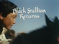 Now! The Black Stallion Returns (1983)