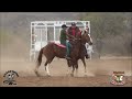 Carreras de Caballos en El Valle de Tacupeto 17 Enero 2015