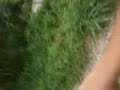 Tangkap Budak Sekolah Buat Maksiat Dalam Semak images Tangkap Budak Sekolah Buat Maksiat Dalam Semak
