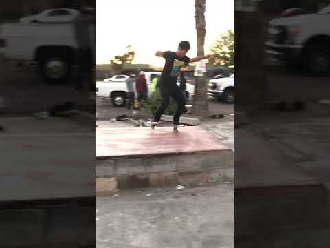 Treflip Nosemanual Nollie Backfoot Impossible Out #shorts