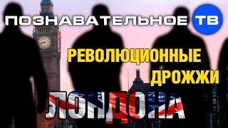 Революционные дрожжи Лондона (Познавательное ТВ, Николай Стариков)