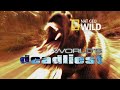 World's Deadliest - "Glowing" Scorpions Hunt Prey