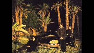Watch Echo The Bunnymen Too Young To Kneel video
