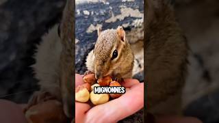 Ces Pes Trous Révèlent Une Surprise Adorable