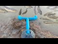 Smart Girl Make Fish Trap Using PVC Pipe Plastic Bottle To Ca...