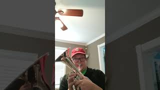 Besson Sovereign Tenor Horn