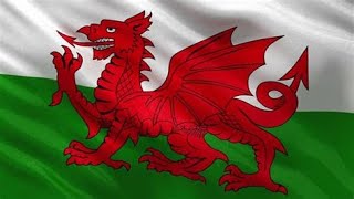 Welsh Flag But In Minecraft
