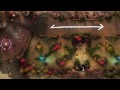 Vainglory - Advanced Tutorial