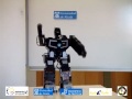 Tele Operation of a Humanoid Robot using Fuzzy Control and Kalman Filter
