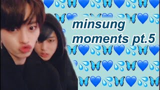 minsung moments pt.5 (minhoxjisung)