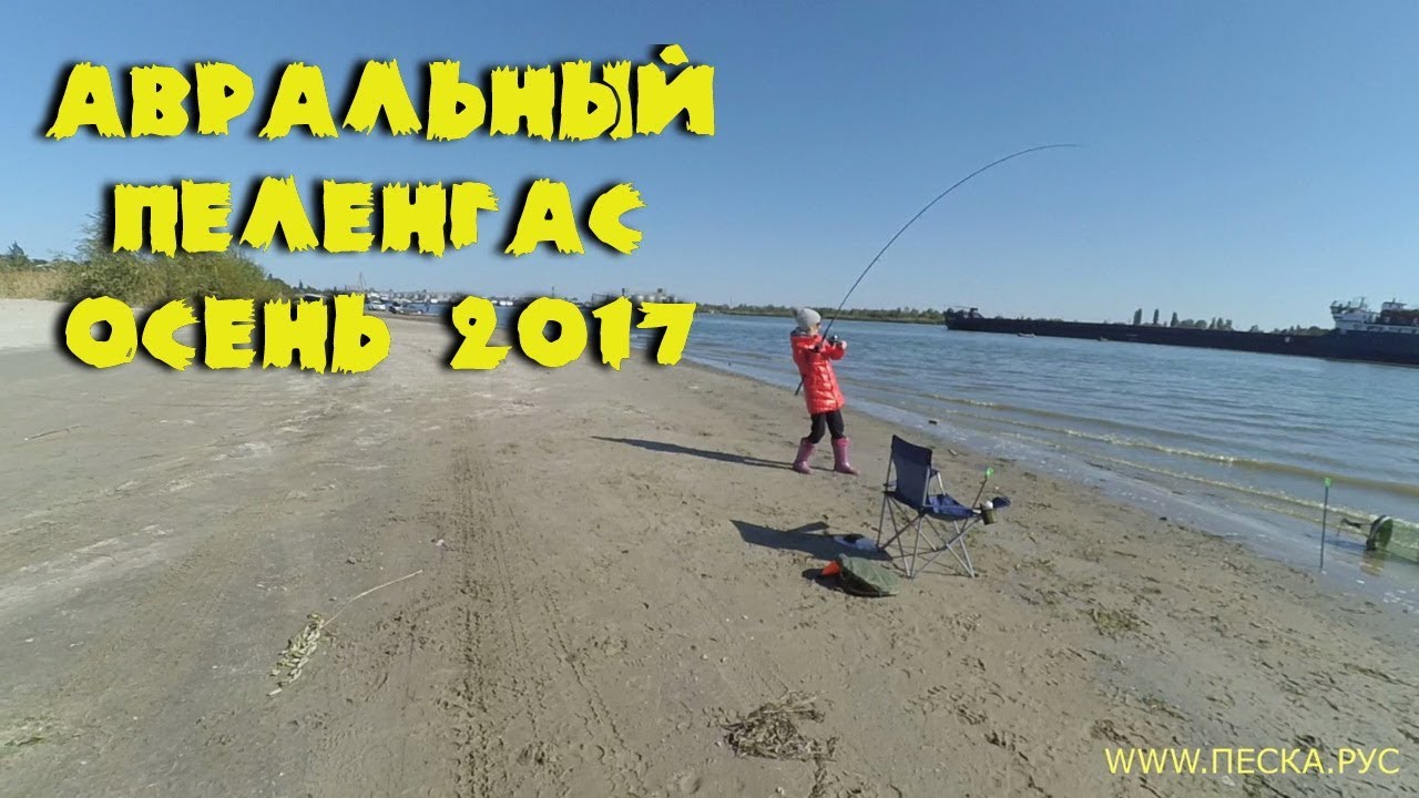лучшее время ловли пеленгаса лучшее время ловли пеленгаса