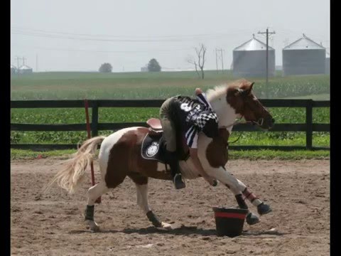 horse riding jumping games