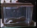 WAXWORK II: LOST IN TIME (1992) UK trailer