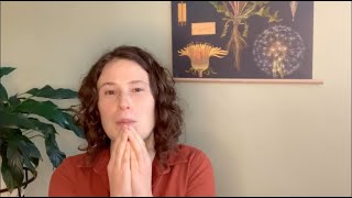 Ways to Celebrate Imbolc | Rituals and Plant Medicines