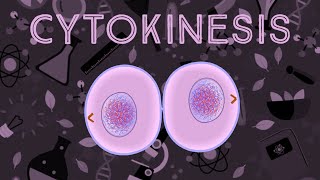 Cytokinesis Animation