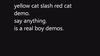 Watch Say Anything Yellow Cat slash Red Cat video