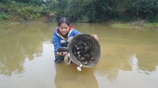 Poor Girl - Harvesting Clams, Chili Peppers Go To The Village To Sell - Green Forest Life