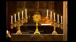 Adoro Te Devote Latin With English Translation - Canto Católico