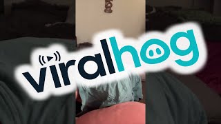 Dog Wants To Kiss Moms Pregnant Belly Too Viralhog