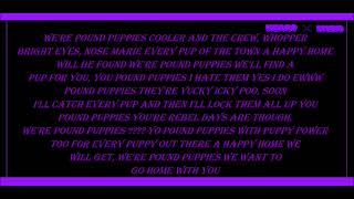 Pound Puppies Theme Song Lyrics 1986
