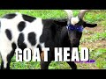 Goat Head (Official HD Video) - Tommy Lee Sparta