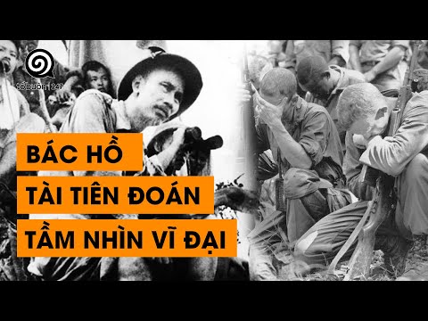 TẬP 6 - TÀI TIÊN ĐOÁN, TẦM NHÌN VĨ ĐẠI CỦA BÁC HỒ | ĐÀM ĐẠO LỊCH SỬ