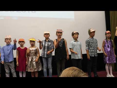 Step By Step Video