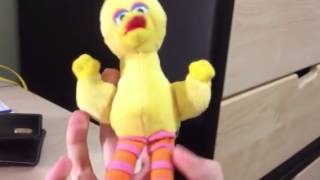 Watch Big Bird Abcdefghi video