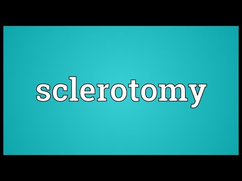 Header of sclerotomy