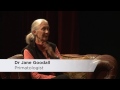 Great Apes Summit - Asha Tana Interviews Dr. Jane Goodall .