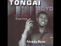 Tongai Moyo - Tenda (Pakanaka Dhewa Album 2004) (Official Audio)